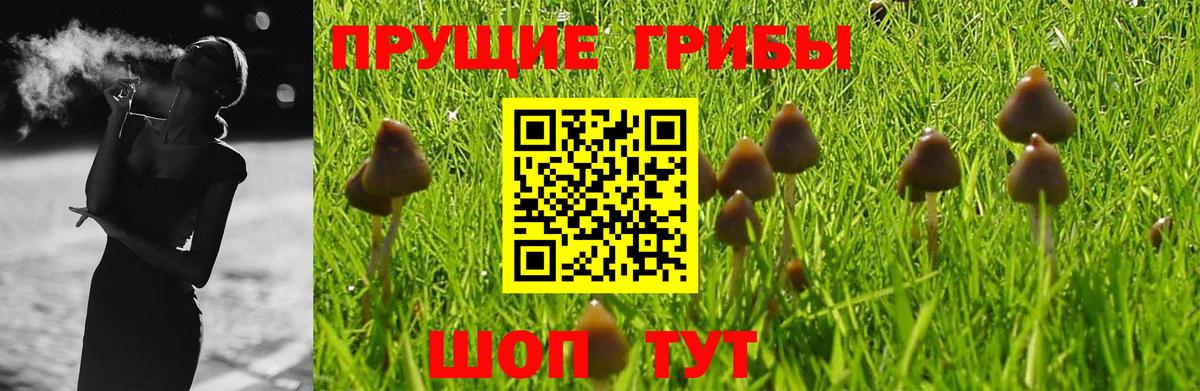 Псилоцибиновые грибы MAGIC MUSHROOMS  Лабинск  Галлюциногенные грибы Cubensis 