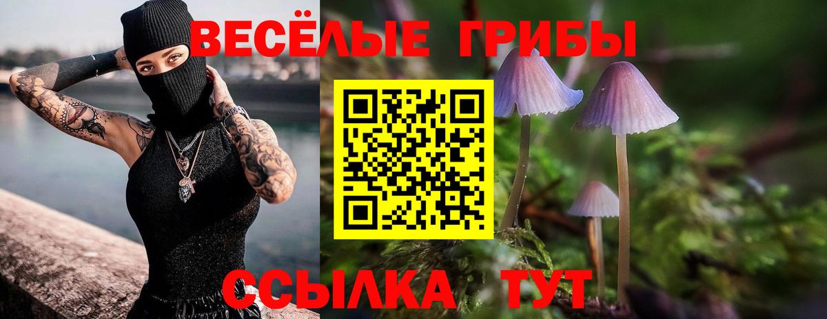 Псилоцибиновые грибы Psilocybe  Псилоцибиновые грибы GOLDEN TEACHER  Лабинск  Вход с VPN 