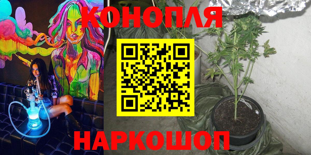 Бошки Шишки марихуана Лабинск